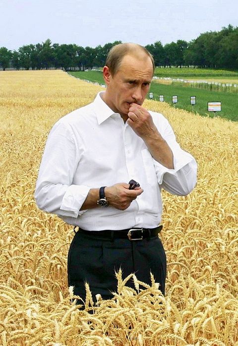 Кликните для перехода на статью 447-2.jpg