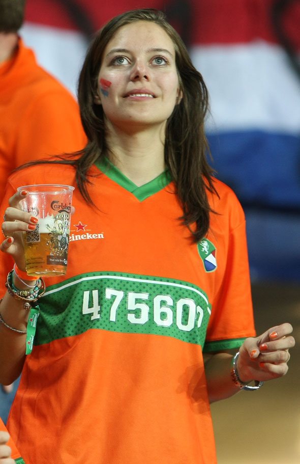 Кликните для перехода на статью Holland7.jpg