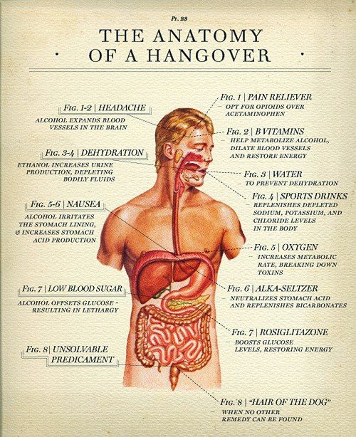 Победим бодун! Хотя бы по пенальти! anatomy-of-hangover