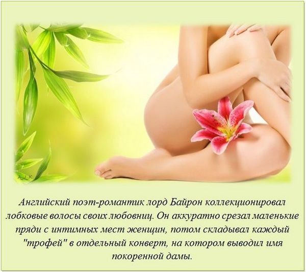Кликните для перехода на статью bajron.jpg