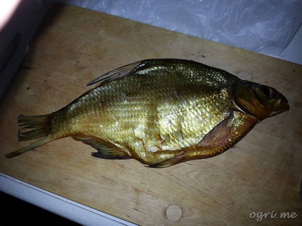 Кликните для перехода на статью gold-fish.jpg