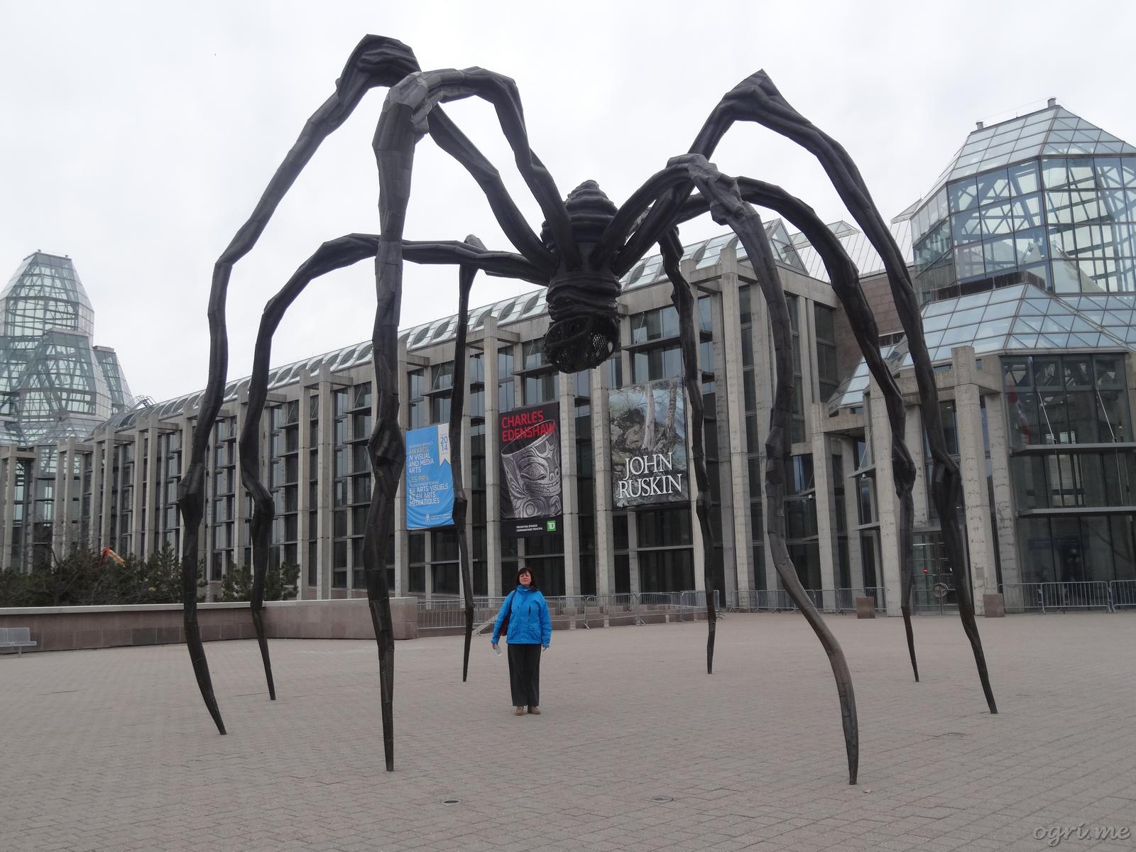 omq09 mother-spider