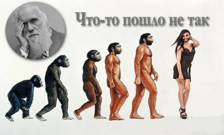Кликните для перехода на статью strange-evolution.jpg